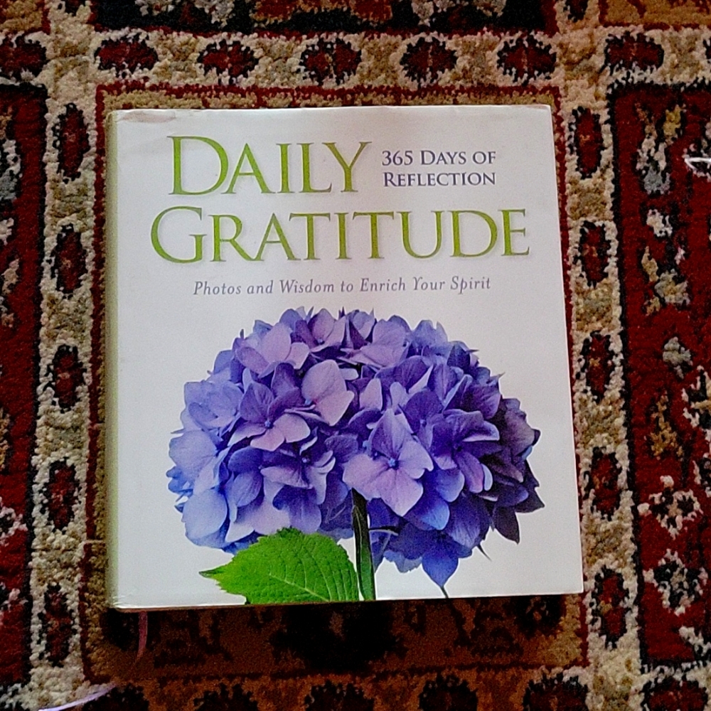 365 Days of Reflection - Daily Gratitude
